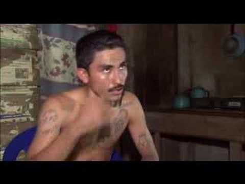 and for gang members,