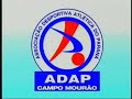 T.O.L.F. Torcida Organizada Leões da Falange