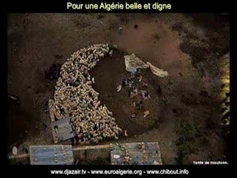 MAXIUMUS PRESENT: Algeria skyview