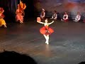 Natalia Osipova - dom quixote - Joinville II