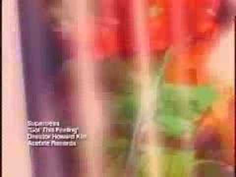 The SuperBees - "Got This Feeling" - ...