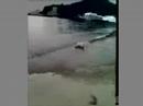 big-wave.html