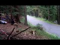 Rallye Grünhain 09 - Golf II GTI Meischner/Cirpka