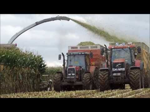 ensilage - Ensilage de maïs au Gaec de Chemy , 4 jours de travail sans relache , 70 ha ensilés pour 1200 bêtes . Avec : Claas Jaguar 900 et un cueilleur 10 rangs condui...
