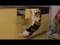 Click here to watch this video 気になる・・・でも行けない。