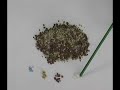 Composición del Terracottem