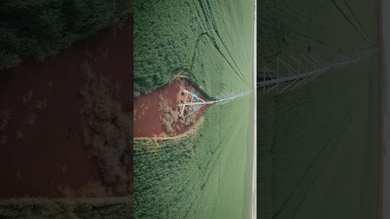 Irrigação em MS