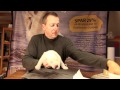 Siku The Danish Polar bear cub in Scandinavian Wildlife Park
