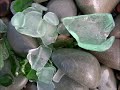 Green and Blue by Maggie Ayres