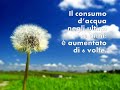 2 minuti di H2O