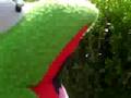 Kermit et le labyrinthe