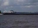 De Waal
