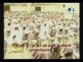 Recitmi shum (emocionus) Hani Rifai. Ali Imran ajeti 189-195