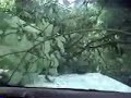 Safe Driving