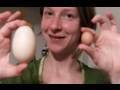 GIGANTIC CHICKEN EGG!!