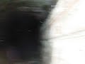 Thumbnail #3