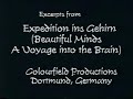 PHOTOGRAPHIC BRAIN ,THE HUMAN CAMERA