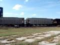 BNSF 8895