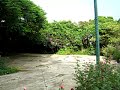 Puerto Corona Yard