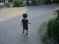 Vincent chasing the birds