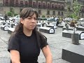 ¡Nuestros bosques, víctimas de Proárbol!