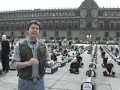 ¡Nuestros bosques, víctimas de Proárbol!