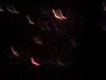 Kyau and Albert @ B1 Paradise Garage 19.4.2008