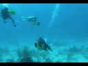 Kids Sea Camp in Grand Cayman