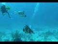 Kids Sea Camp in Grand Caman