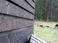 videos de Throwing knives form DX
