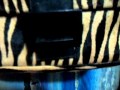 bolsa de pele de zebra pra vender