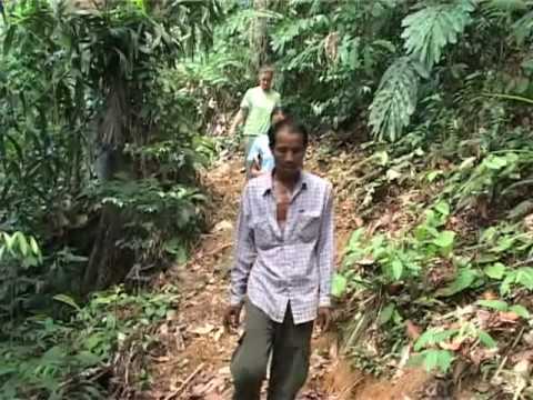 [Video title]
