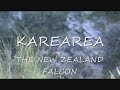 New Zealand Falcon