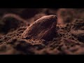 Open video