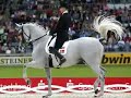 ANDREAS HELGSTRAND on BLUE HORS MATINE in the - WEG2006 Freestyle Final