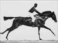 First Motion Picture Horse, 1878 - www.pastfinder.de