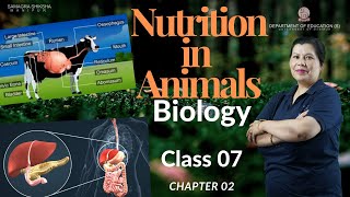 Chapter 2 (Biology) - Nutrition in Animals