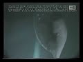 Basking Sharks Basking Sharks