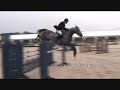 show jumping - bring me to life