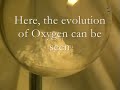 Elementary Productions: Synthesis of Sulfur Trioxide