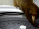 ???????????Nina plays with her personal water fountain