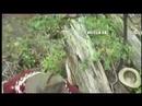 lance manly 7   bloopers