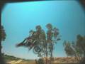 Life Rolls On Foundation 2008 PSA - Paraplegic Ricky James Does Backflip on Motocross Bike