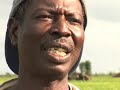 Rice Farming in Afife, Ghana