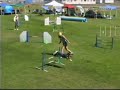 AKC Agility -- Countywide Dog Training Club