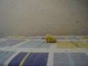 relan 2