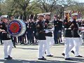 Cherry Blossom Festival