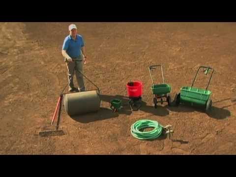 how to plant grass seed lawn