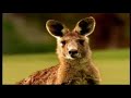 Take a Trip to Queensland Australia Take a Trip to Queensland Australia