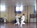 kumite-i piccoli della Shan Li del M� S. Luongo si divertono